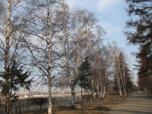 Фотография глаз Иркутск Весна