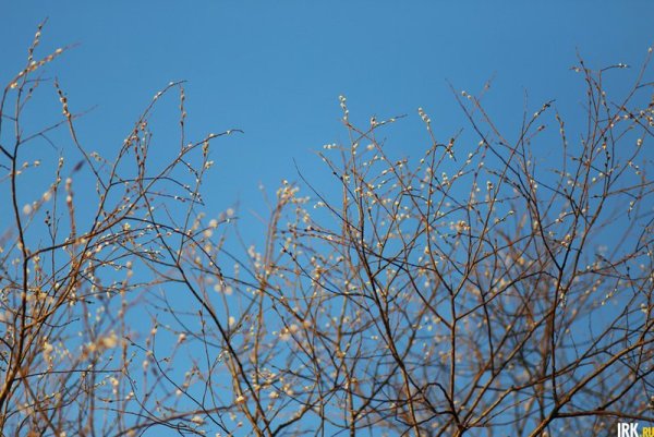 Иркутск климат