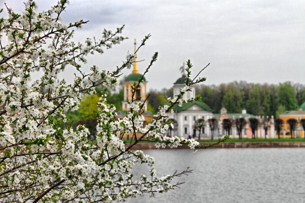 Парк Академгородка Иркутск