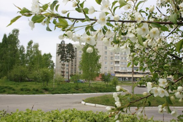 Парк семейного отдыха Иркутск