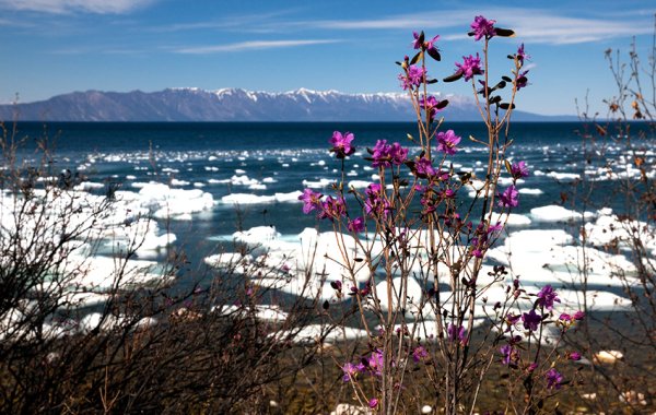 Март в Иркутске