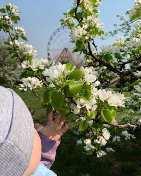 Природа весной в городе