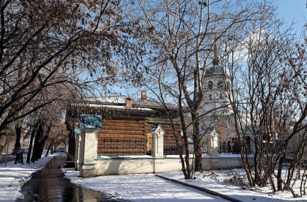 Саянский багульник