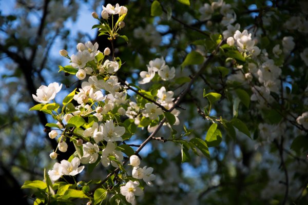 Достопримечательности Иркутска Весна