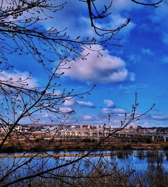 Весна в тайге