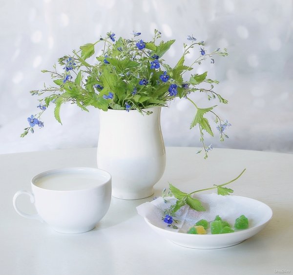 Пожелания доброго весеннего утра