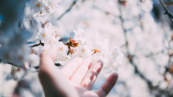 Весенняя атмосфера