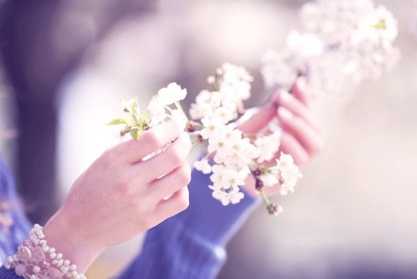 Цветы в руках баннер