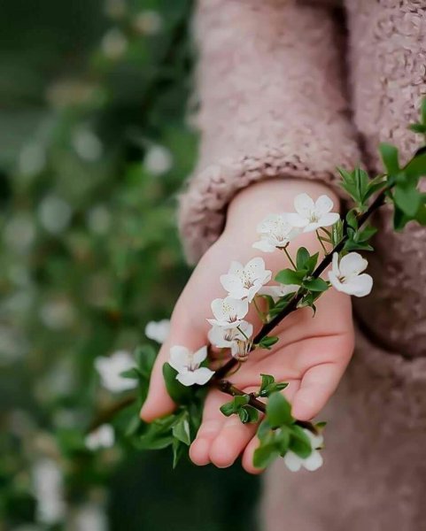 Веточка на руке