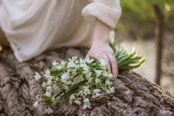 Весна дарит Вдохновение