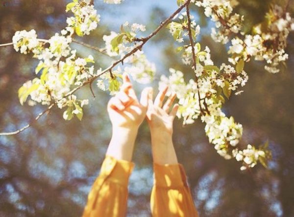 Весна Эстетика