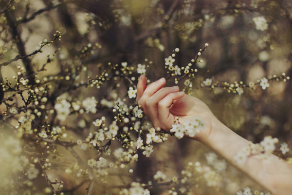 Весна руки цветы