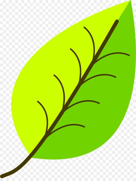 Ветка с листьями