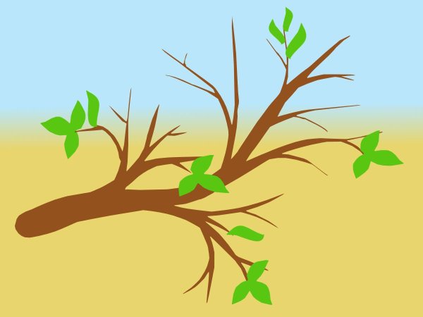 Маленькие листочки