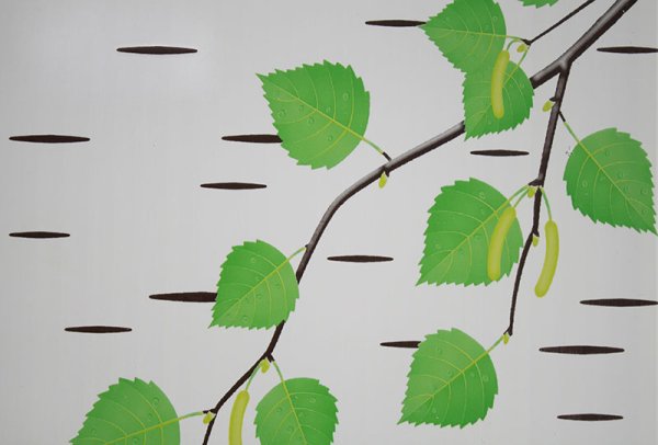 Первые листочки