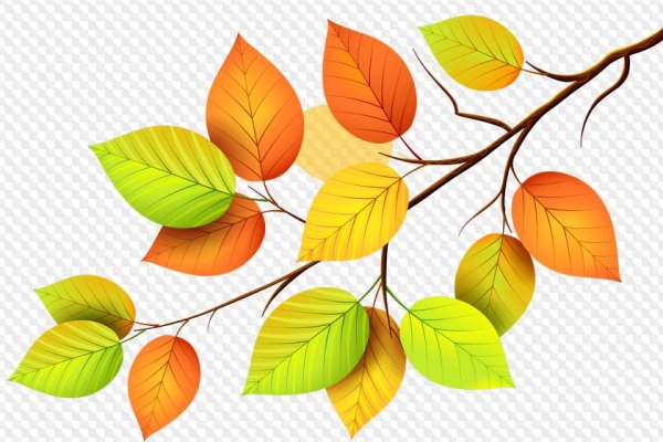 Листик березы