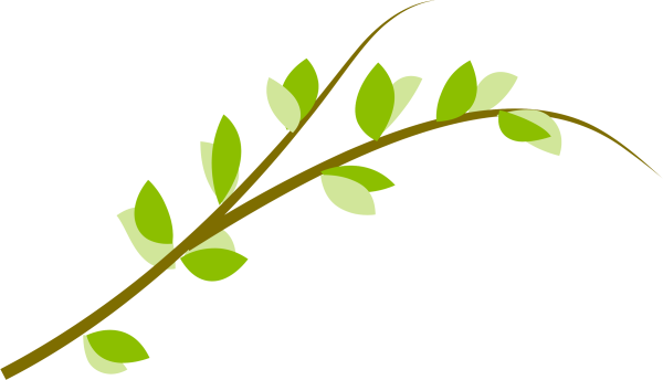 Распускание берёзовых почек