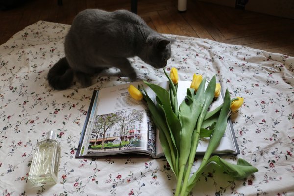 Цитаты про весну прикольные