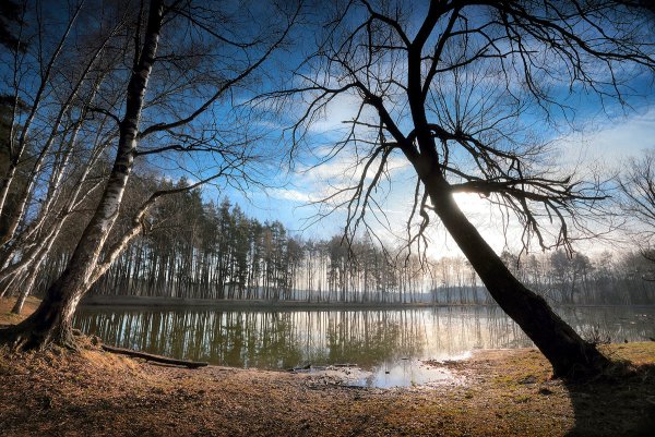 Весеннее озеро