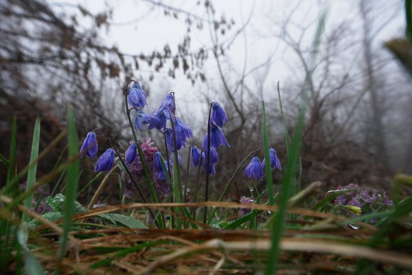 Утро весной