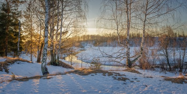 Яркое Весеннее солнце