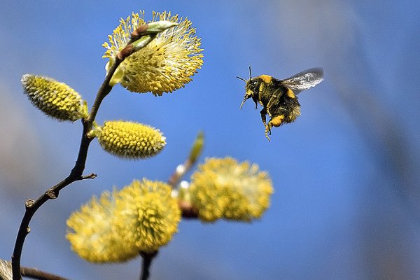 Солнечного апрельского утра