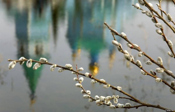 Птицы весной