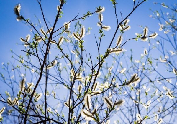 Пермь собор Кама река