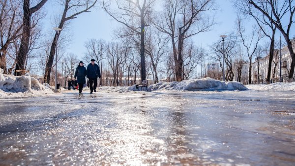 Пермь медведь памятник летом