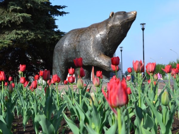 Снег в Перми КОМПРОС