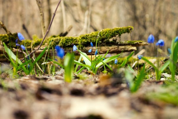 Кама набережной Пермь зимой