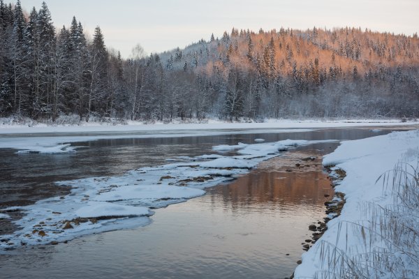 Парк Горнозаводск