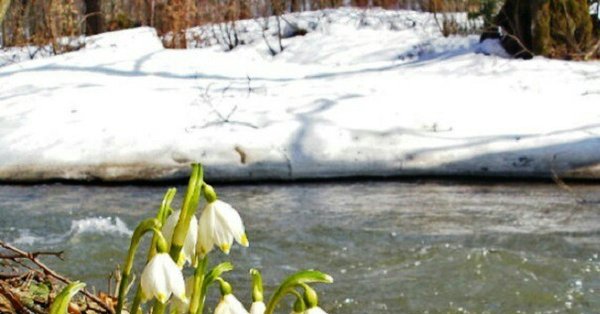 Красивые места в Перми летом