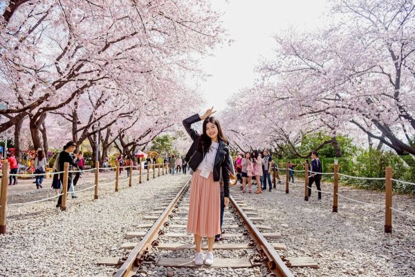 Цветение Сакуры в Пусане