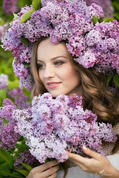 Сирень весеннего настроения