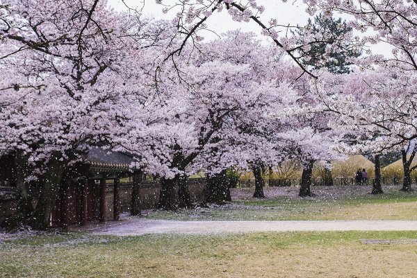 Выставочный центр ханбока Намсан