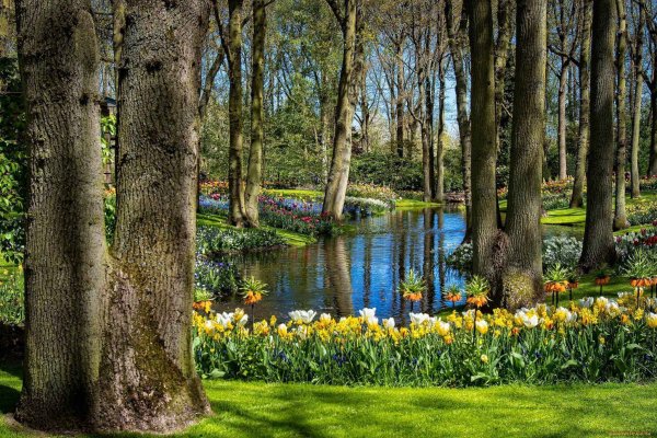 Красивый парк