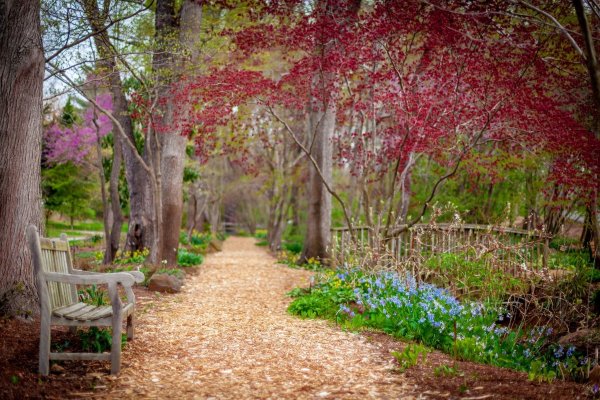 Городской парк весной