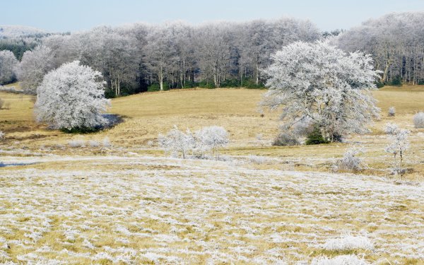 Ранняя Весна в поле