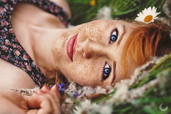 Одуванчики мультяшные