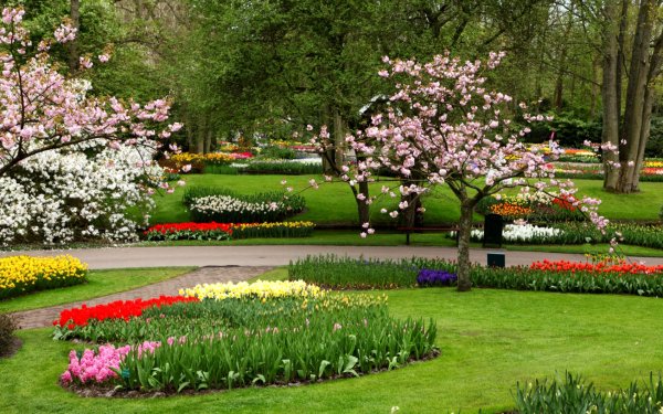 Цветущие сады