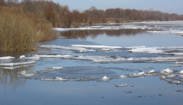 Весенняя река
