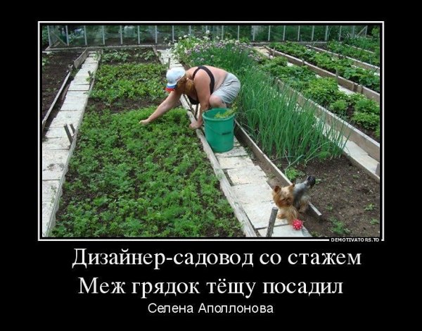 Приколы про дачу