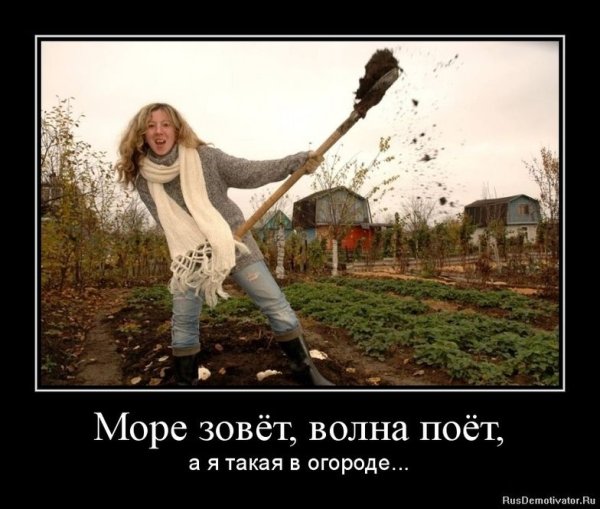Анекдоты про огород