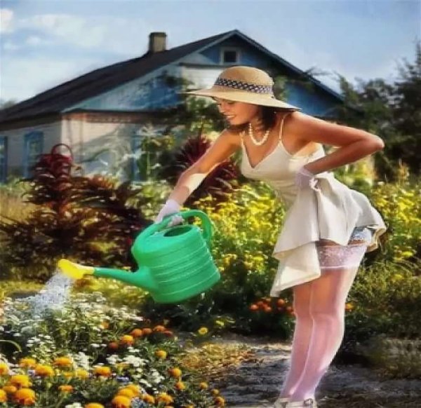 Про огород прикольные