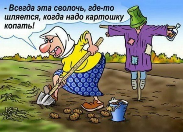Приколы про огород