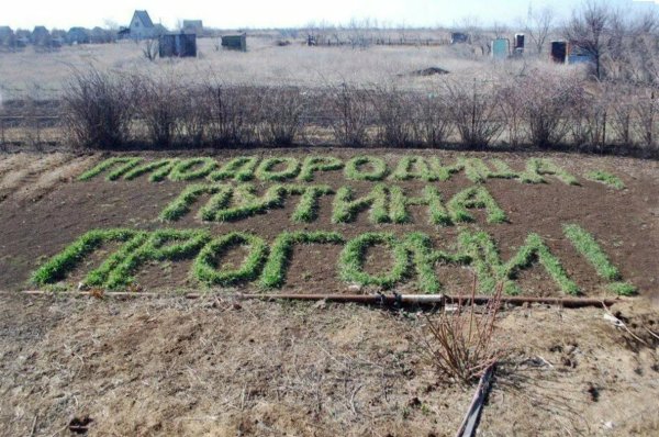 Юмор про дачников