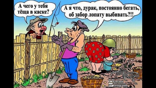 Огород ожидание реальность