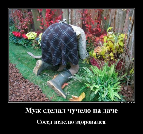 Открытки я на даче