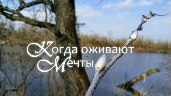 Мотивация цитаты Весна